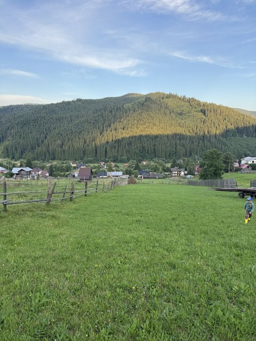 Teren de Vanzare Bucovina ! OPORTUNITATE
