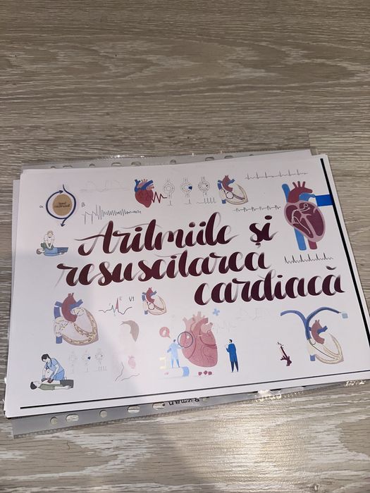 Flashcarduri Smartysh- Set Triade 1, 2, 3A si 3B + CADOU planse Logia