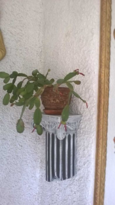 Малки колонки за стена