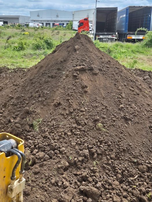 PAMANT NEGRU Bucuresti Ilfov