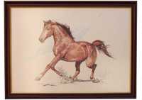 Страхотни картини на коне ,нарисувани с химикал