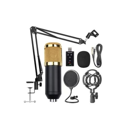 Kit profesional STUDIO cu microfon BM800 Streaming