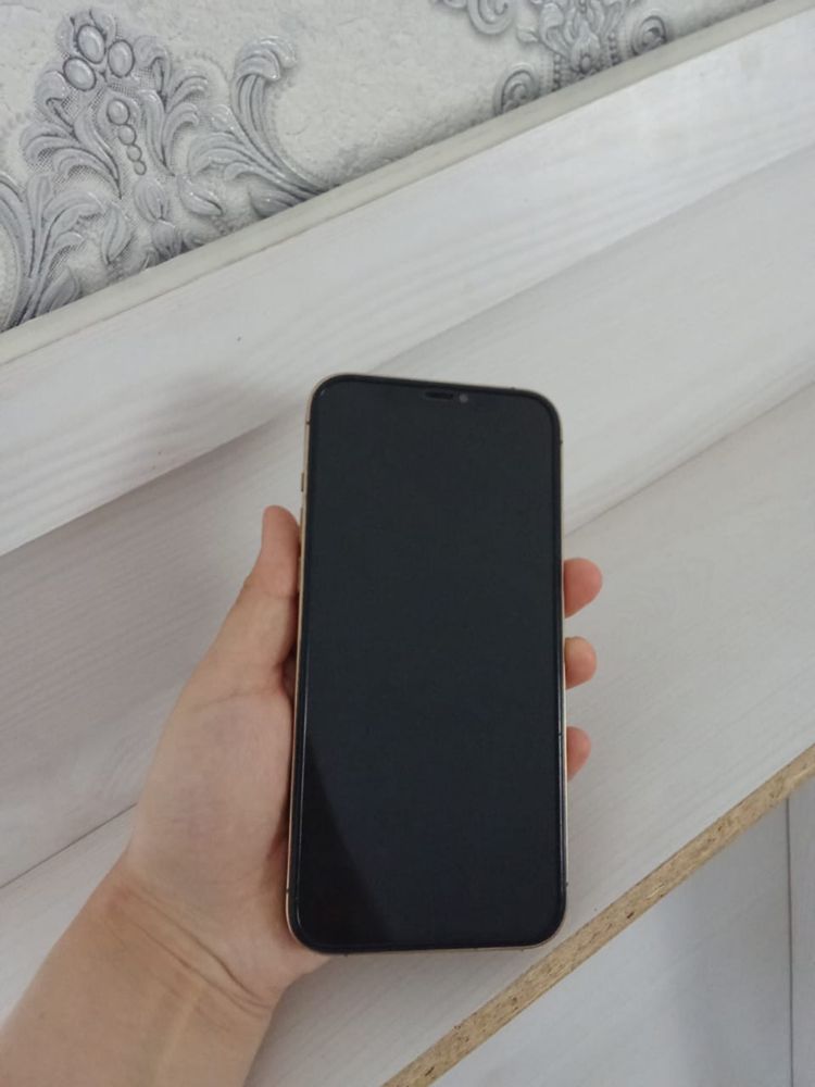 Iphone 12 pro max