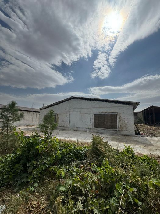 Срочно продается 20 соток дом земля готовий бизнес