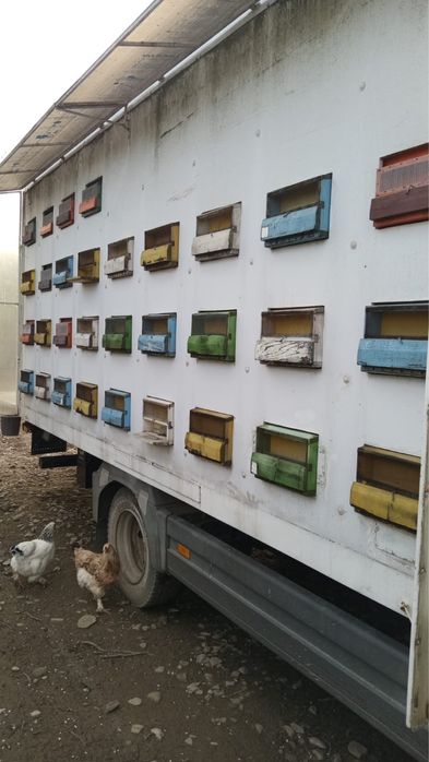 Camion apicol mercedes !