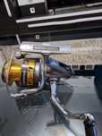 Mulineta Shimano