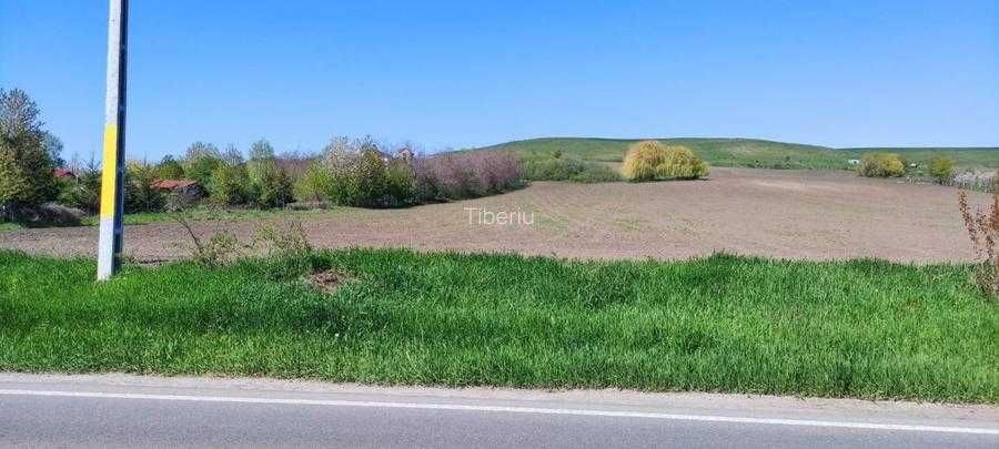 Vând 15000 mp teren