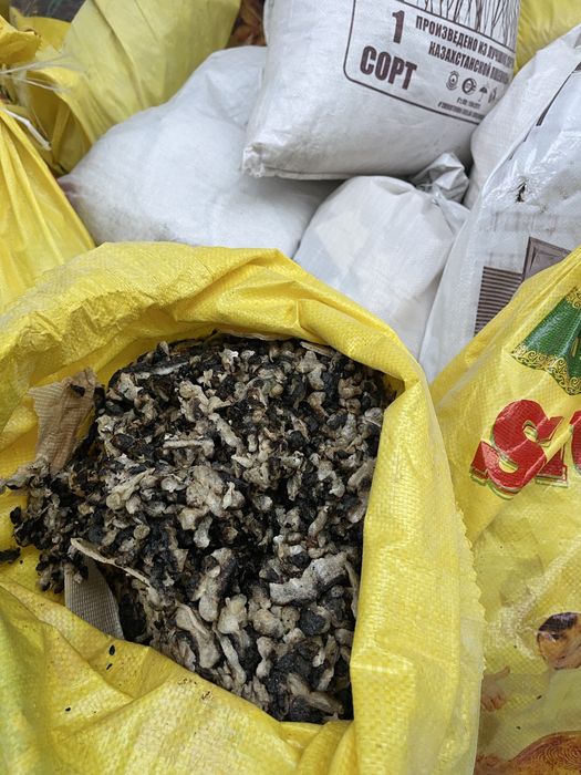 Mol qoy ot uchun athot