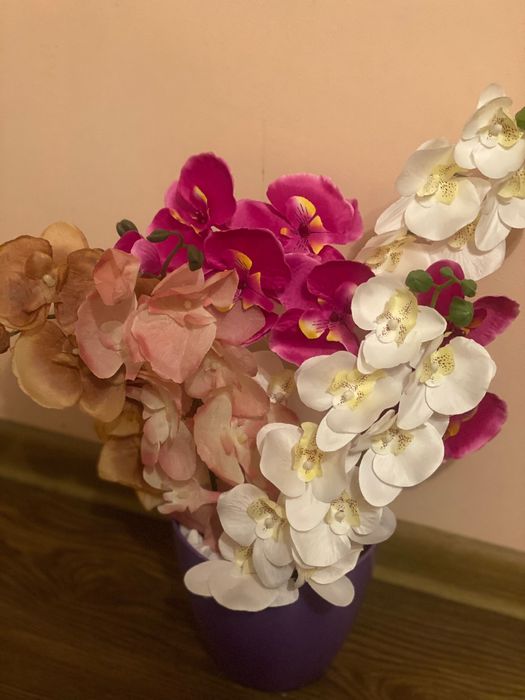 Орхидеи латексни