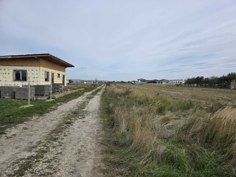 Teren 1,7 ha - Cihei, Sanmartin, Bihor