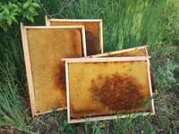 Изградени пчелни рамки за кошери даданблат
