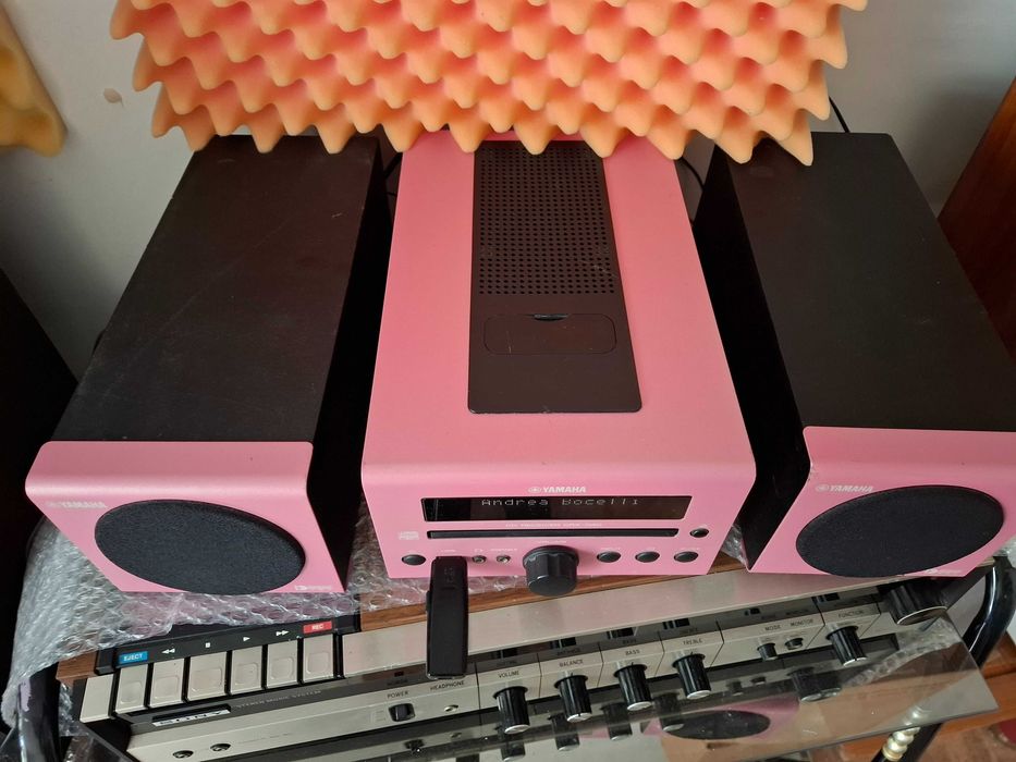 Розова принцеса-yamaha crx-040