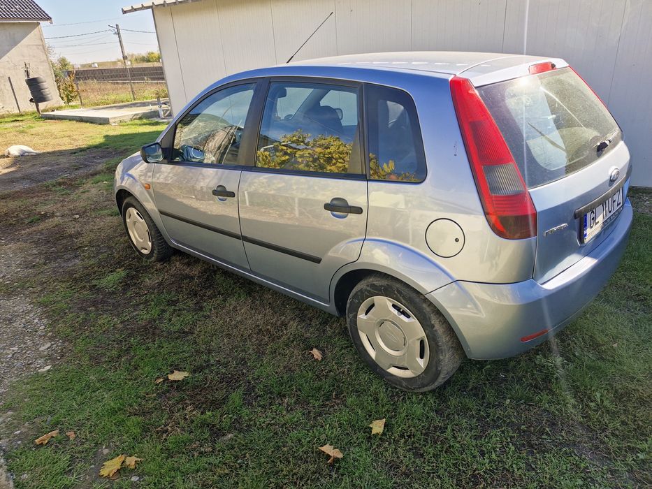 Vand Ford Fiesta