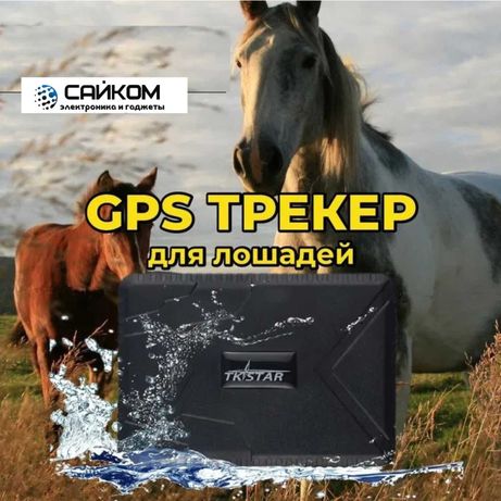 GPS для Лошадей и Скота до 120дней Ошейник в Подарок Доставка в Актобе