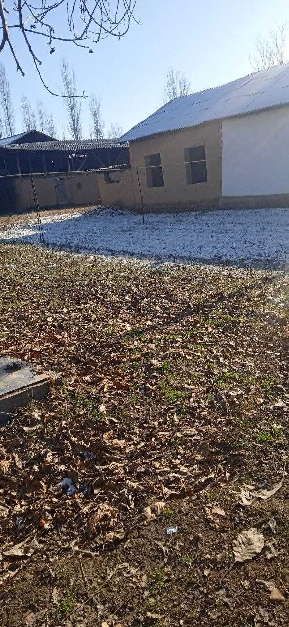 uy joy sotiladi yer xisobida 29 sutik
