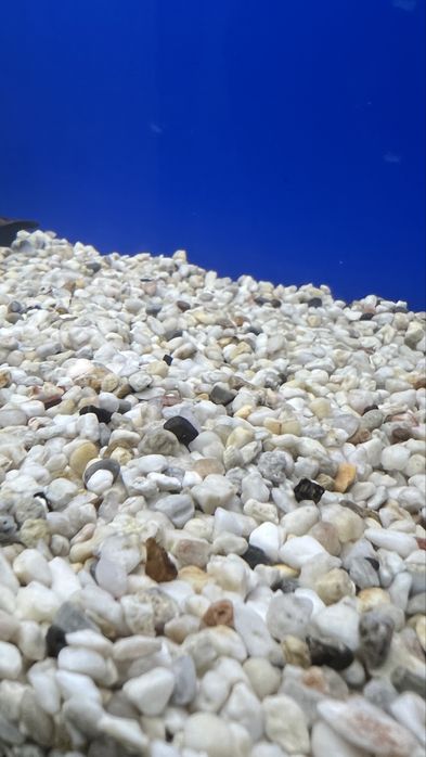 Грунт для аквариума 5 кг 2500 тг