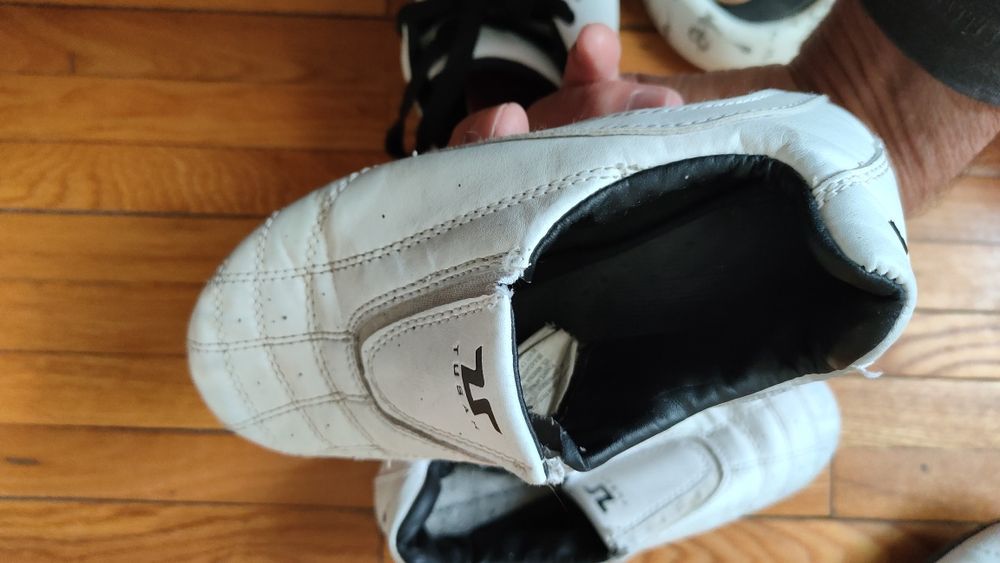 Чешки для таеквондо