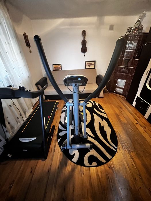 bicicleta eliptica gold's gym