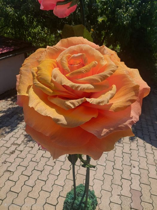 Flori uriașe din hartie creponata/ arcada florala pentru evenimente