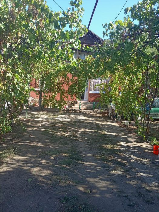 Vând casă în Com.Curtisoara, sat Linia din vale