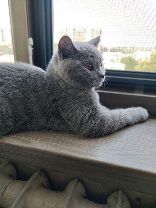 Срочно продаётся