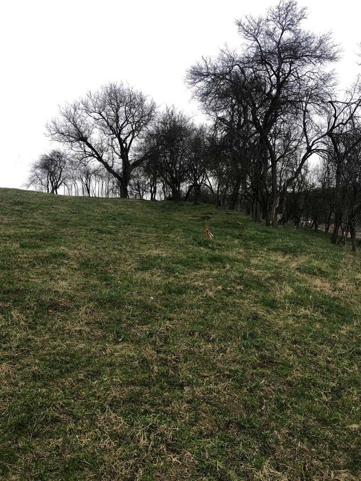 De Vânzare Teren Intravilan – 6.600 mp – Bădești, Jud. Cluj