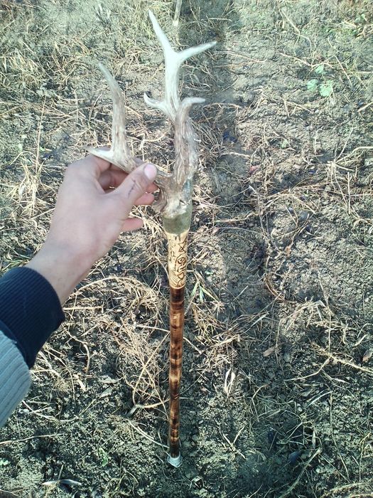 Baston ciomag bâtă toiag