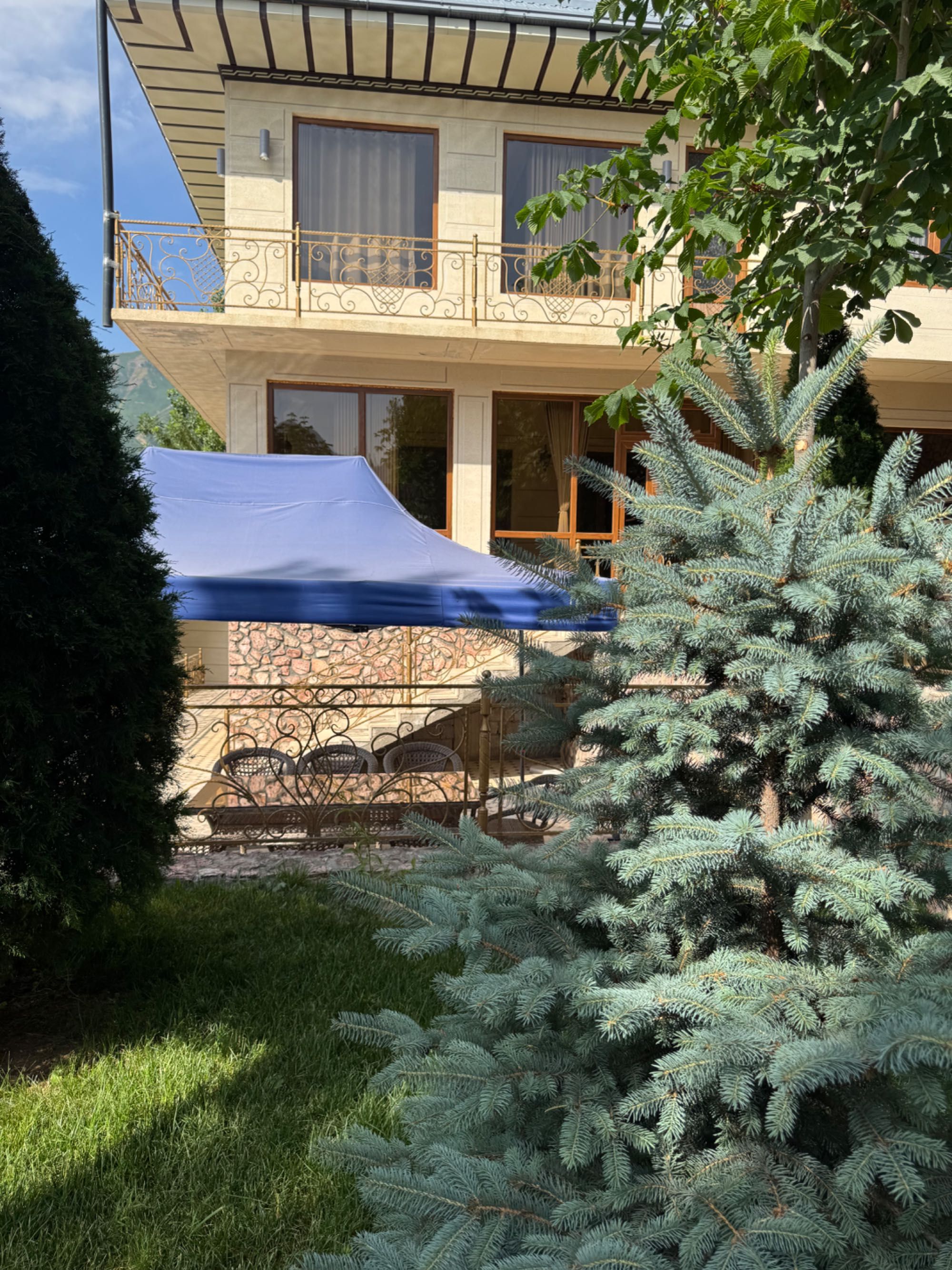 Dacha manzara toğyon bağrida oilaviy pokiza joy