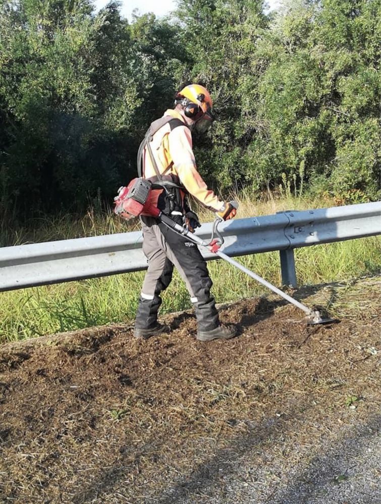 Defrisari terenuri lasate in paragina