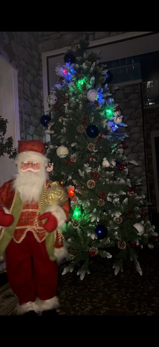 Archa + qorbobo, oyincholari bilan. 2 yil bolgan olinganiga.