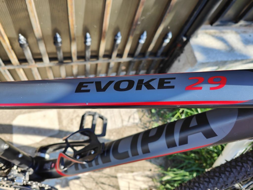 Bicicleta carbon, roti 29, marime L, Principia Evoke 29, mountain bike