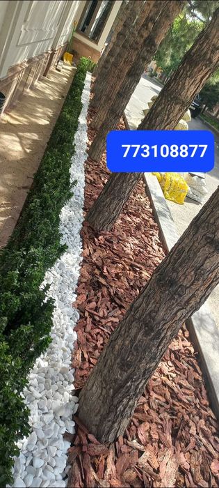 Сосновая Кора Для Ландшафта и Декора N1️⃣