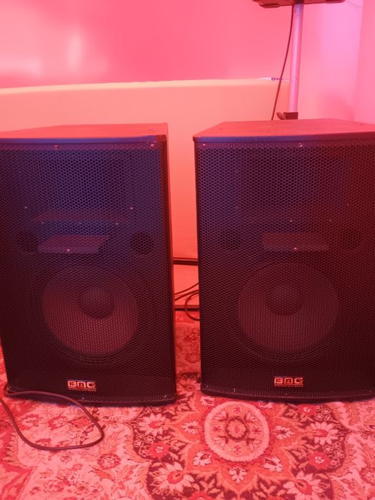 Vând o păreche de Boxe BMG prefesionale 800 de wați una la 8 omy pasiv