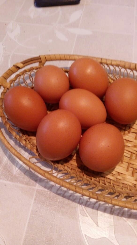 Яйца домашние очень вкусные.
