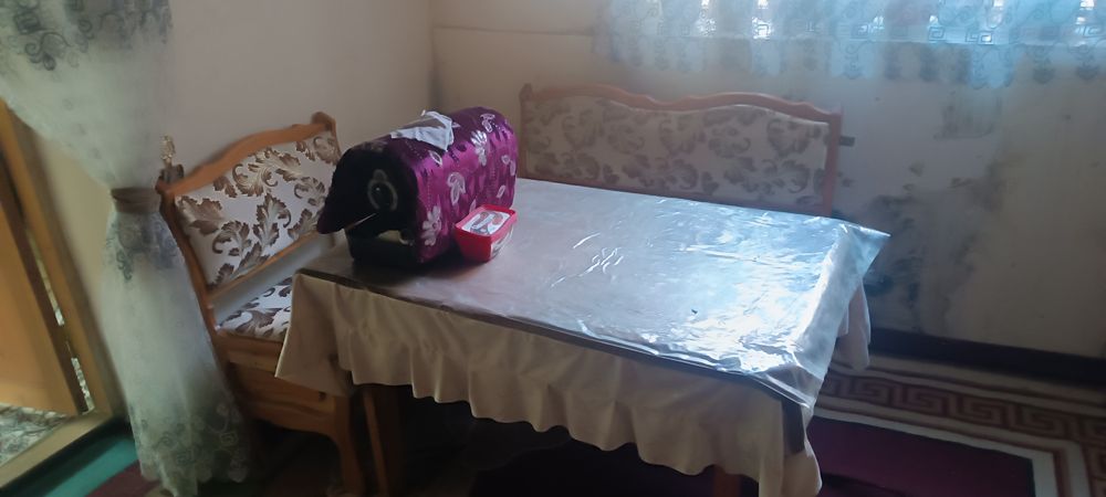 Угалок сотлади нархи арзон 500 минг