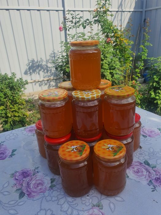 Vând  MIERE Poliflora