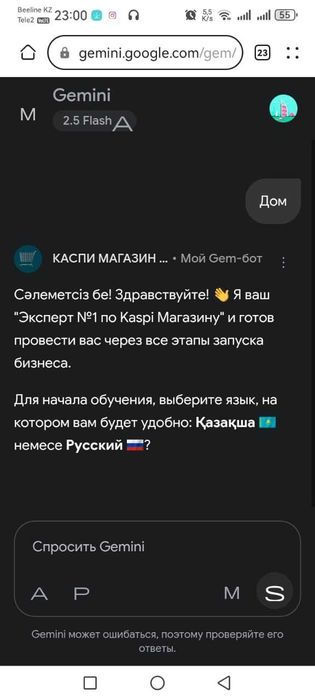 ИИ-ассистент Gemini | Обучение современным навыкам онлайн