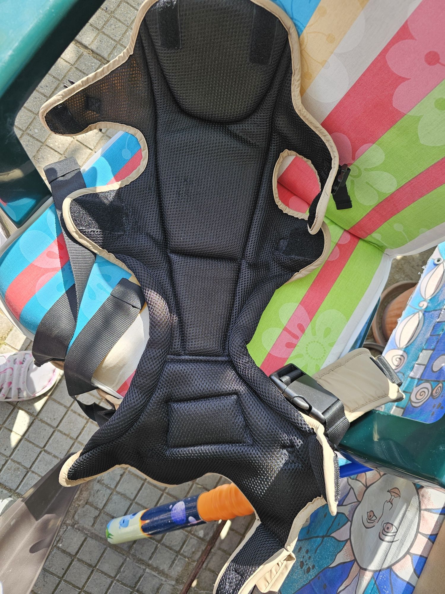 Кенгуру Cangaroo
