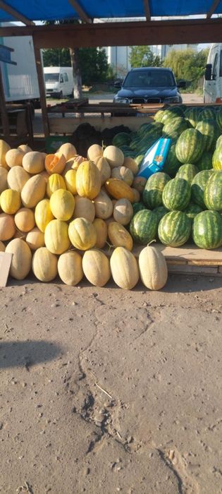 Vand pepeni verzi și galbeni