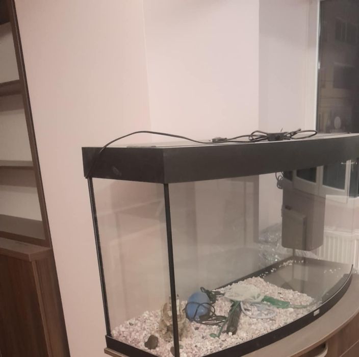 Acvariu cu masa  cu accesorii