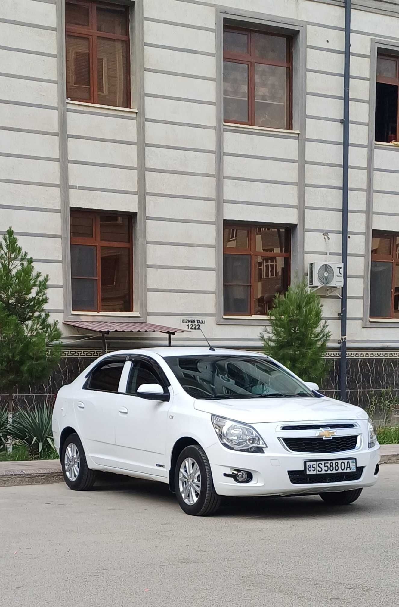 Cobolt 2025 oq rangda.