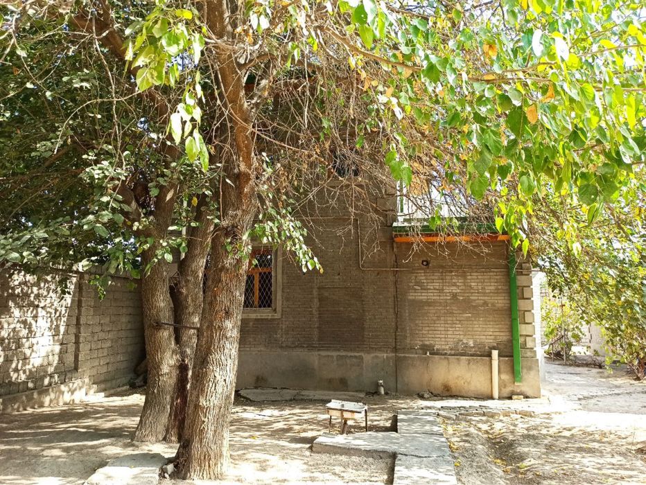 Яшнабод тумани, Олмос махалла. 6 сотих участка сотилади