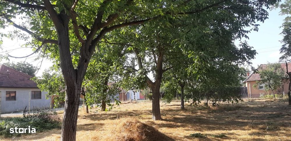 Vand Teren Intravilan pe Colt 896 m2, Oras Pecica, jud Arad,Comision0.