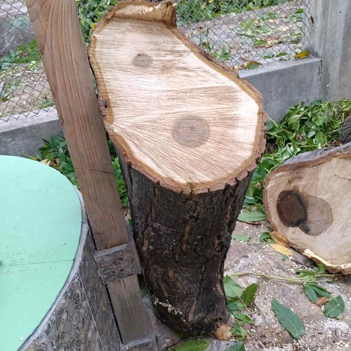 Продавам орехови дънери