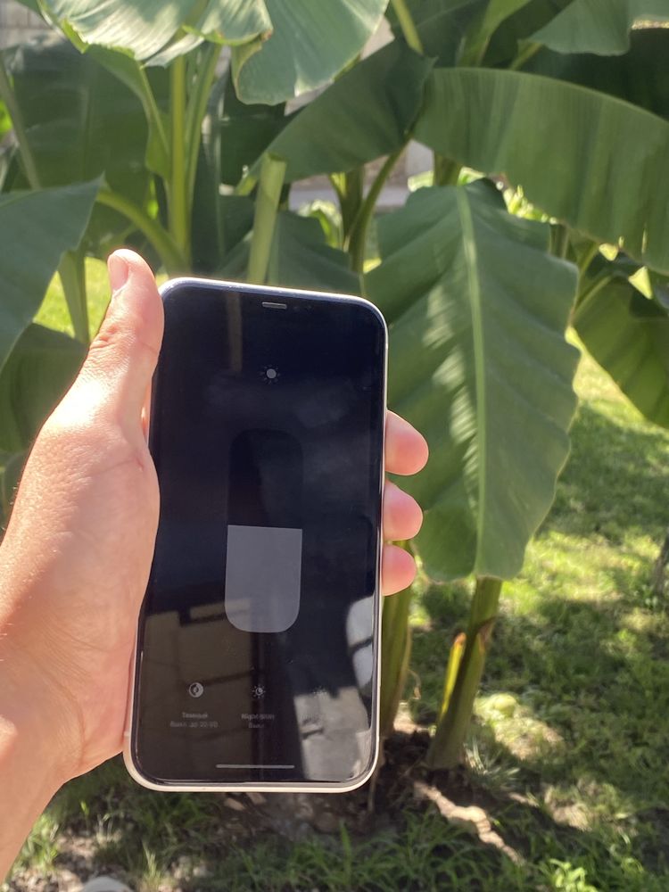 iPhone 11 с гарантией