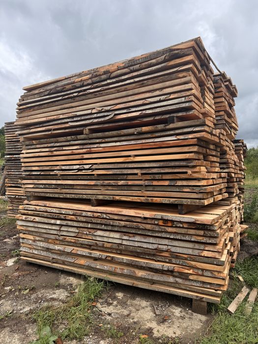 Cherestea fag  uscata gr.48mm