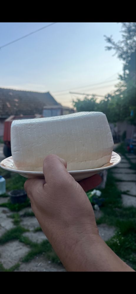 Telemea și lactate de vacă din Vurpăr – livrare la domiciliu