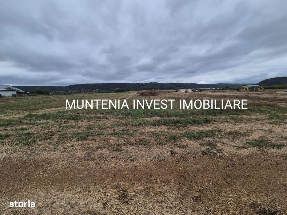 Teren intravilan  57000mp. posibilitate parcelare, Zona Mărăcineni