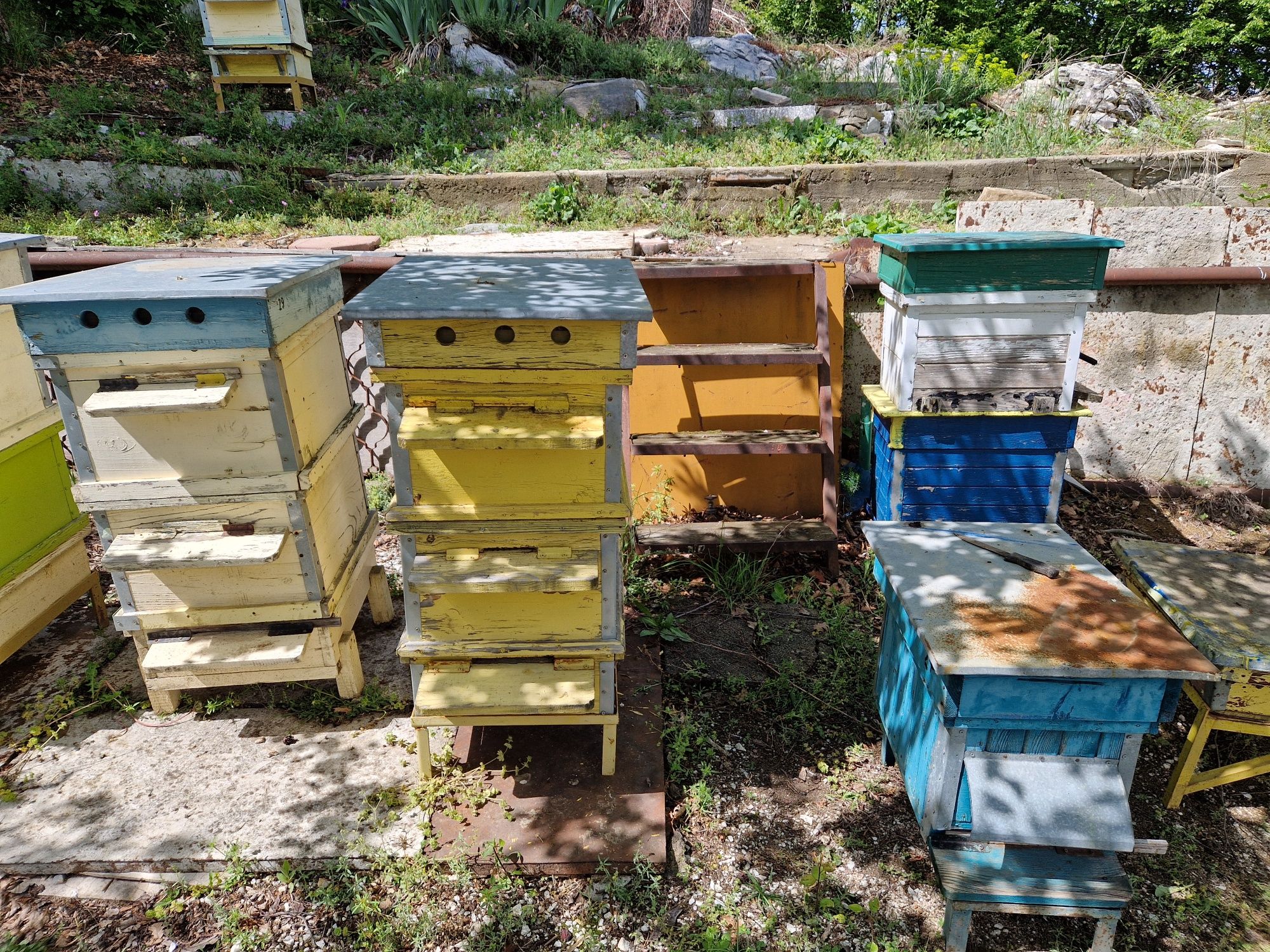 Пчелни кошери. Пчеларско оборудване
