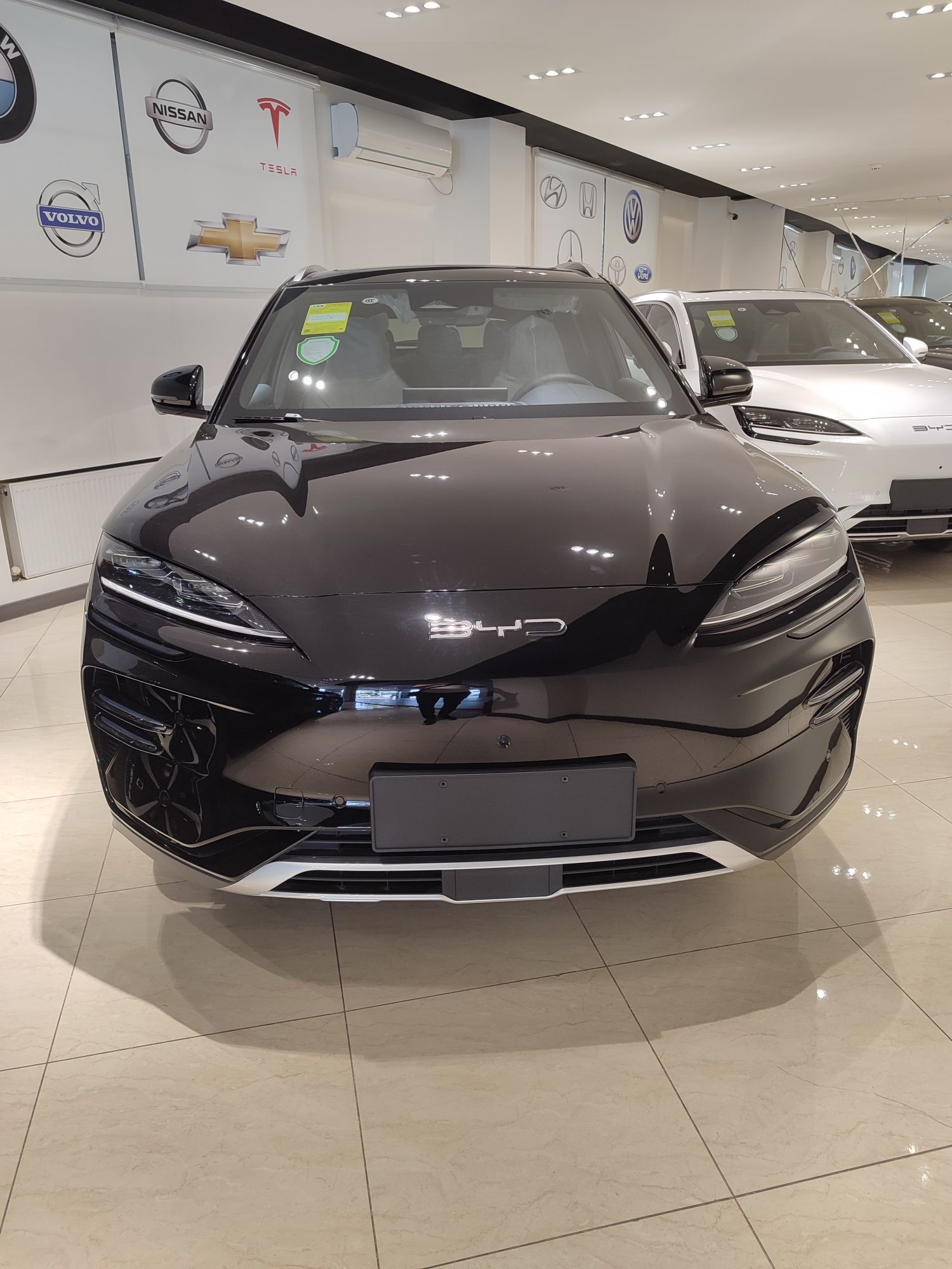 Byd champion  smart 2025/2025 нотариус